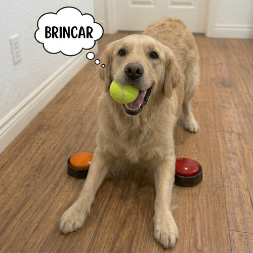 Botão De Gravação De Voz Para Comunicação Pet